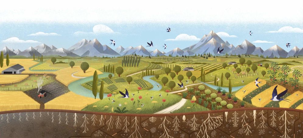Illustrative landscape of mountains, fields and wildlife