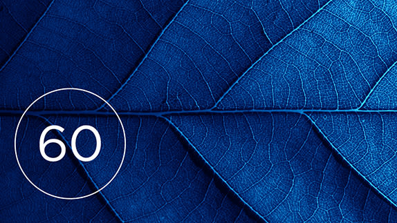 Abstract image of a blue leaf with "60"