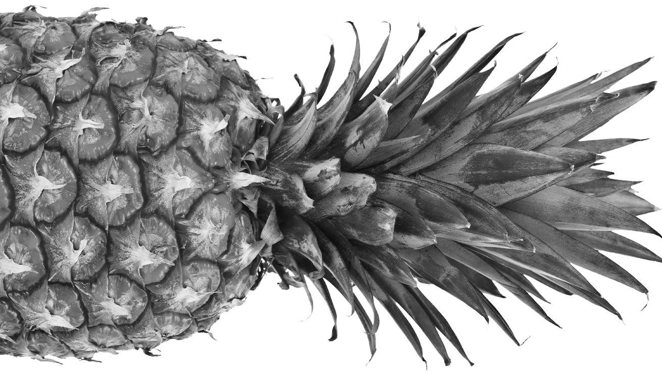 Black and white photo of a pineapple