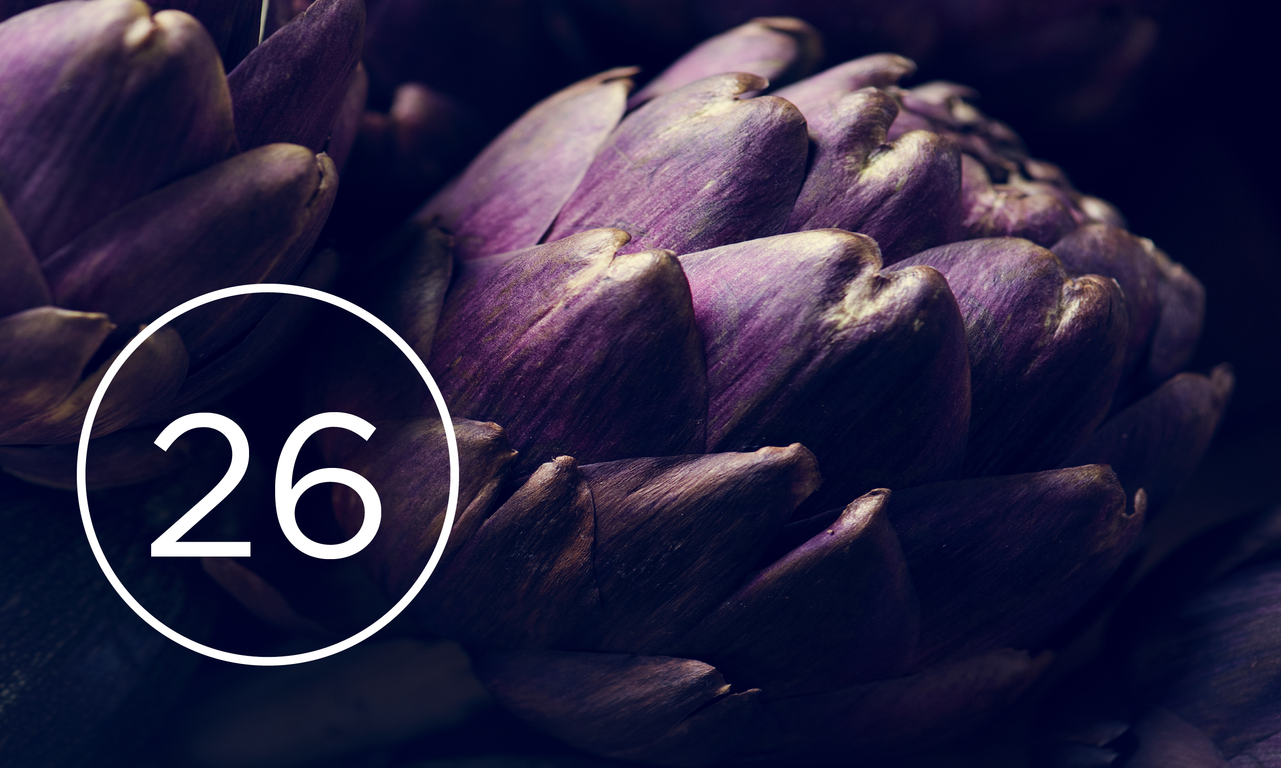 Artichoke with number 26