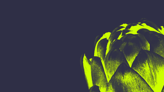photo of artichoke on dark background