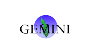 Gemini Corporation N.V. logo