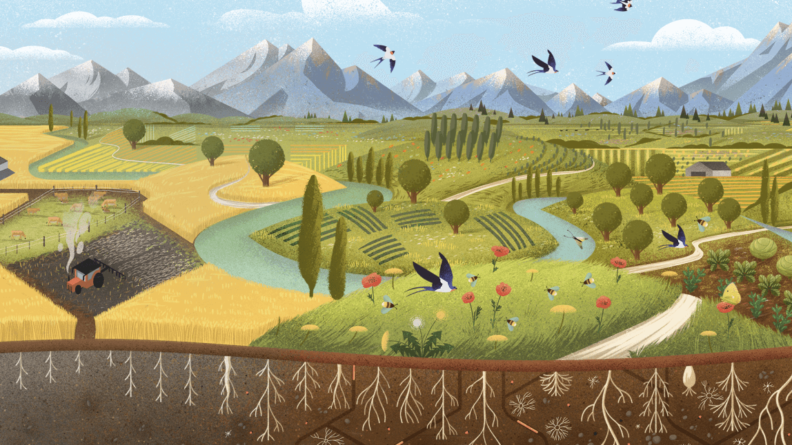 Illustration of fields and mountains