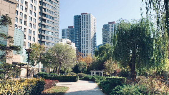 City with greenery