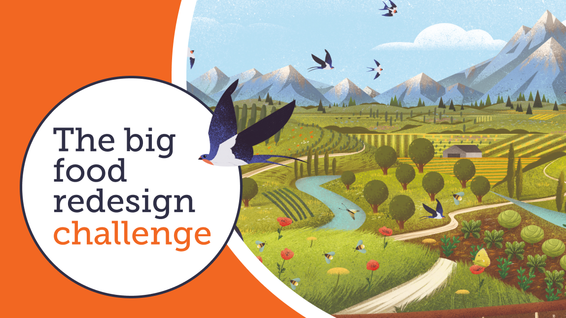 Illustration of mountains and fields with wildlife next to "The Big Food Redesign Challenge" logo