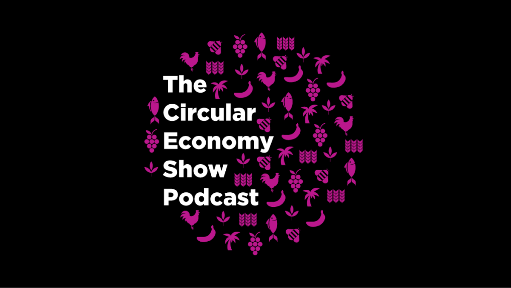 Finance podcasts