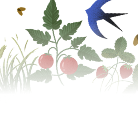 illustration of plants and birds